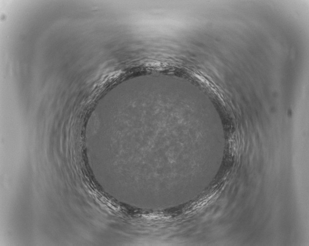 X0000087060961200704251025