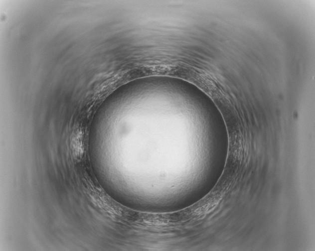 X0000087060962200704251025