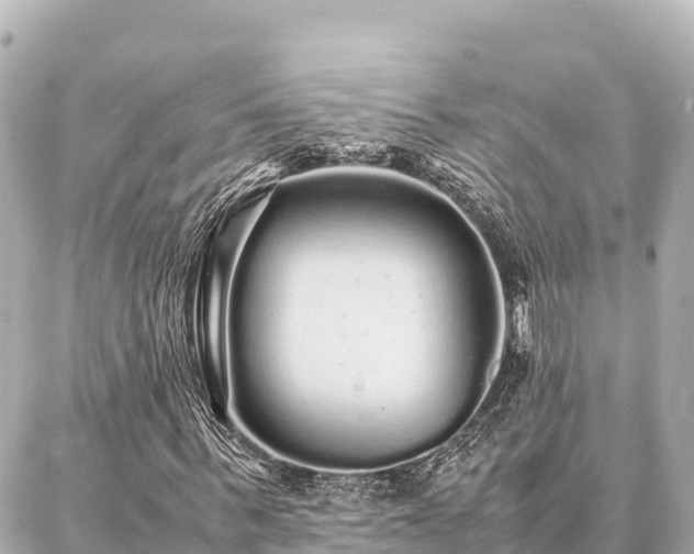 X0000087060963200704251025