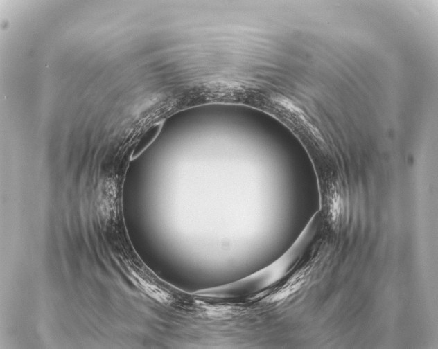 X0000087060964200704251025