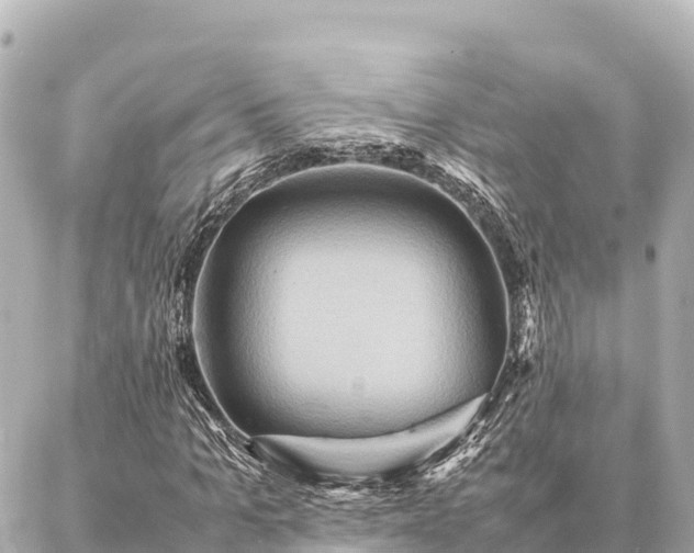 X0000087060965200704251025