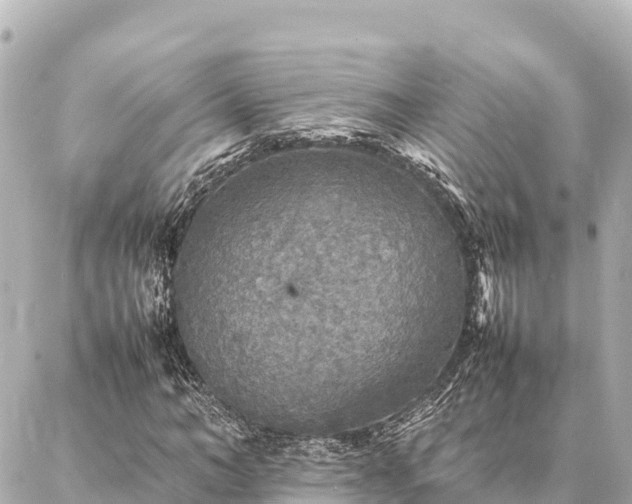 X0000087060966200704251025