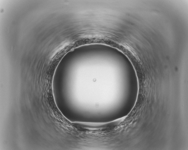 X0000087060967200704251025