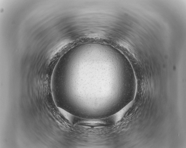 X0000087060968200704251025