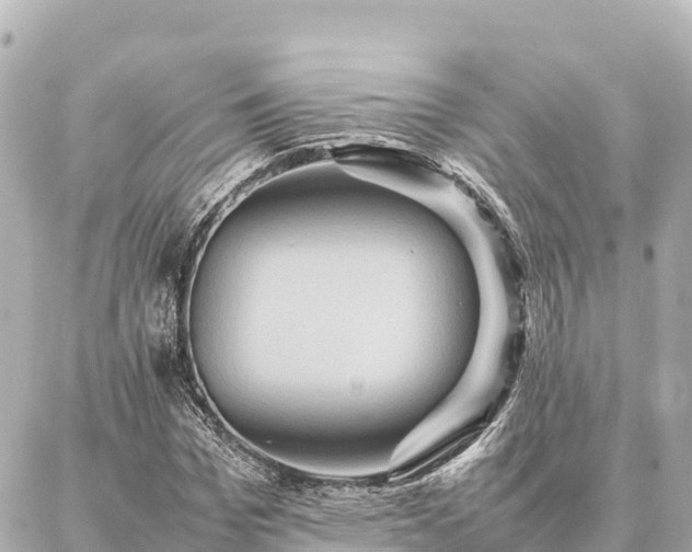 X0000087060969200704251025