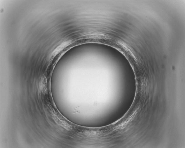 X0000087060970200704251025