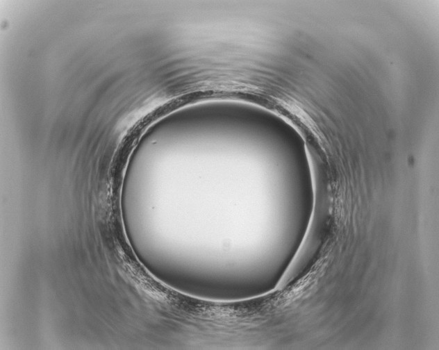 X0000087060971200704251025