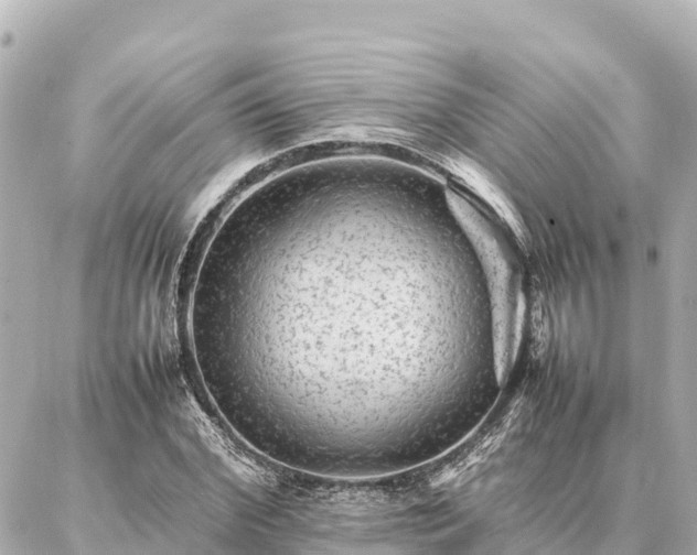 X0000087060972200704251025