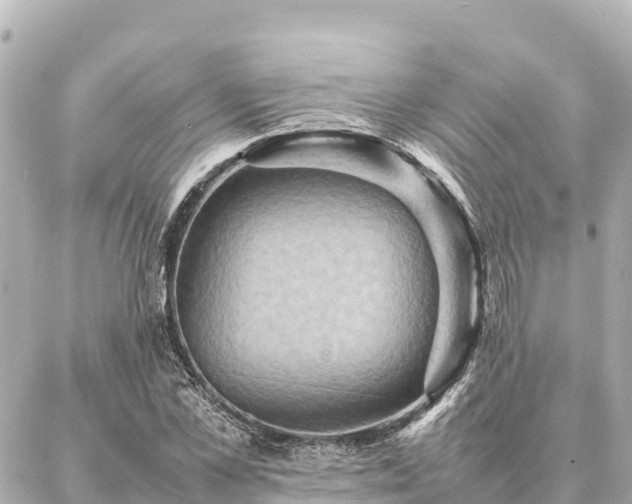 X0000087060973200704251025