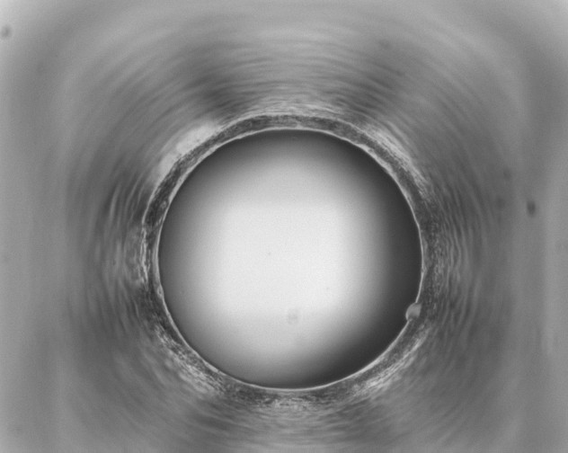 X0000087060974200704251025