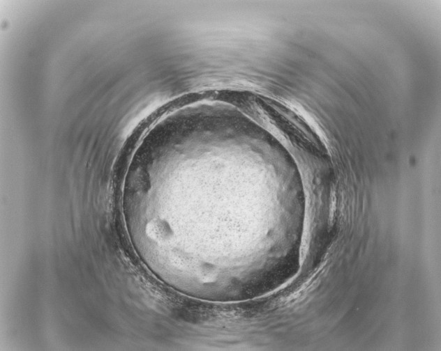 X0000087060975200704251025