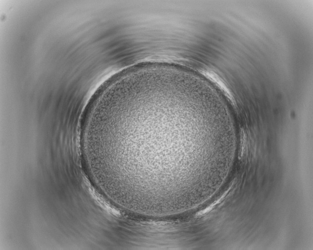 X0000087060976200704251025