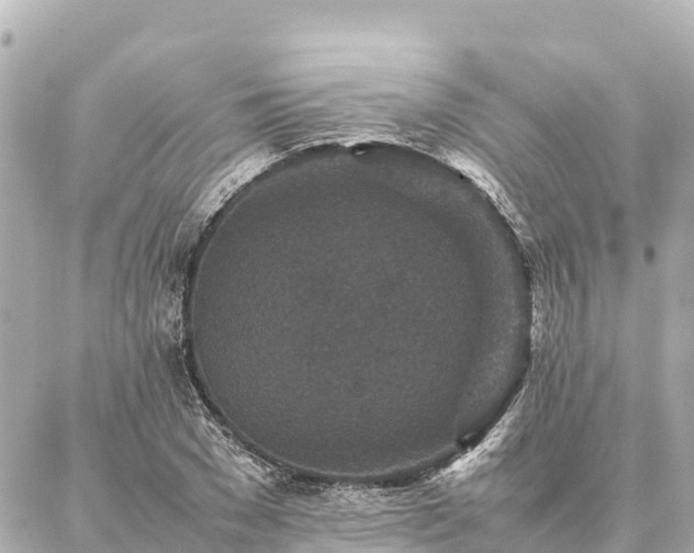 X0000087060977200704251025