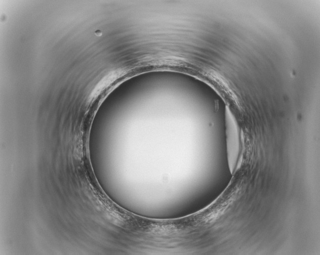 X0000087060978200704251025