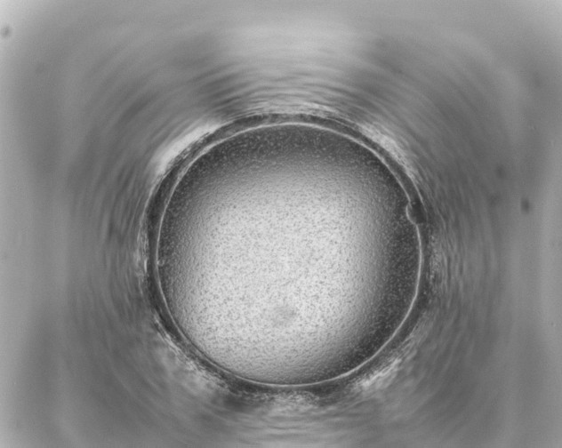 X0000087060979200704251025