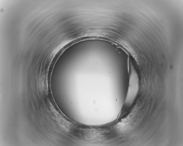 X0000087060980200704251025