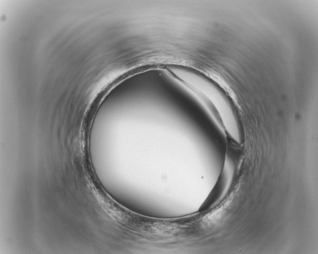 X0000087060981200704251025