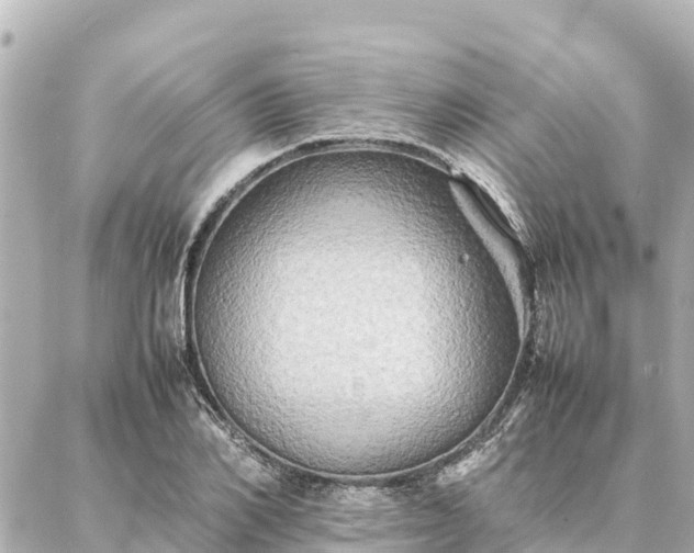 X0000087060982200704251025