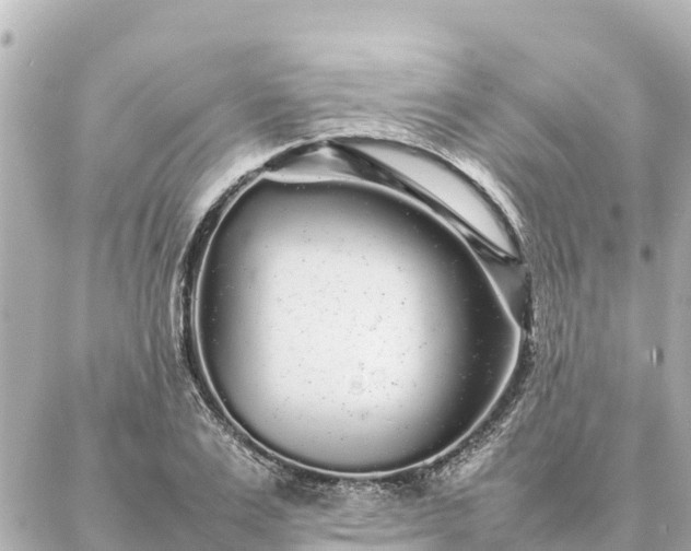 X0000087060983200704251025