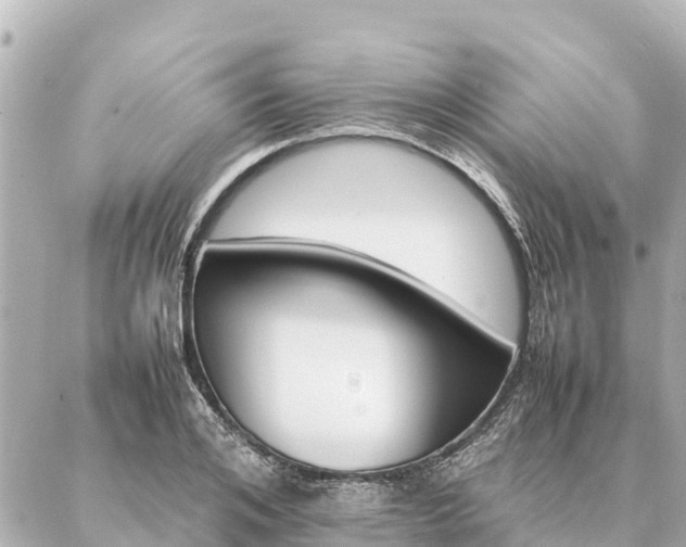 X0000087060984200704251025