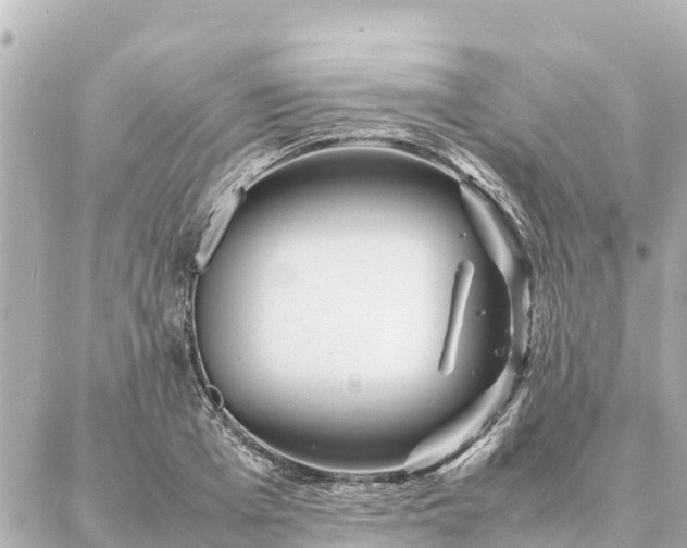 X0000087060985200704251025