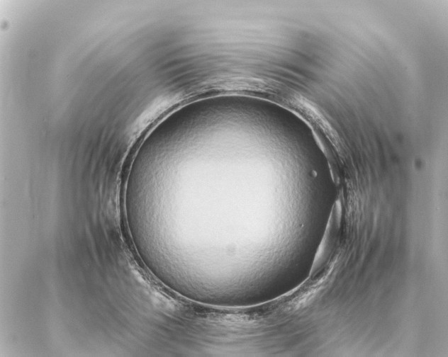 X0000087060986200704251025