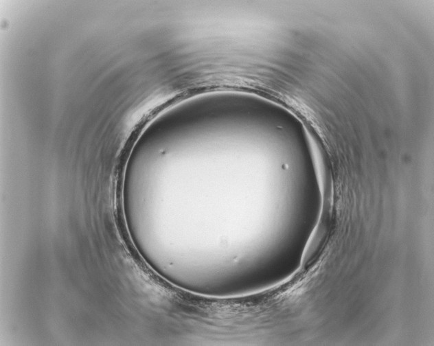 X0000087060987200704251025