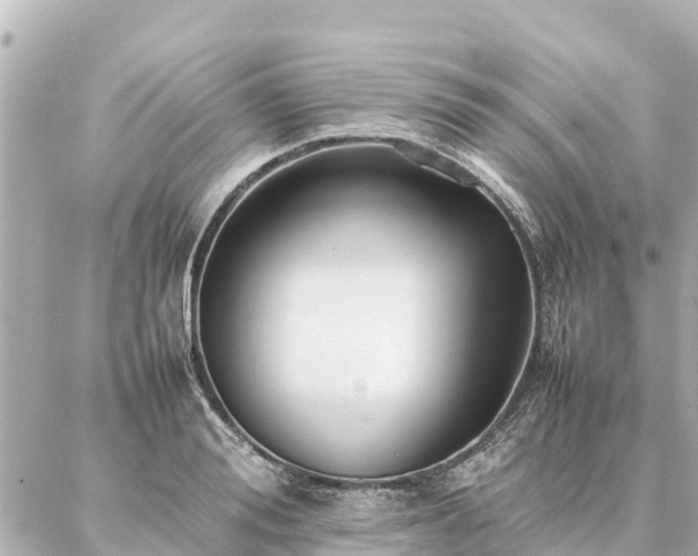 X0000087060988200704251025