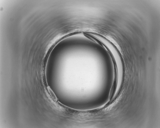 X0000087060989200704251025