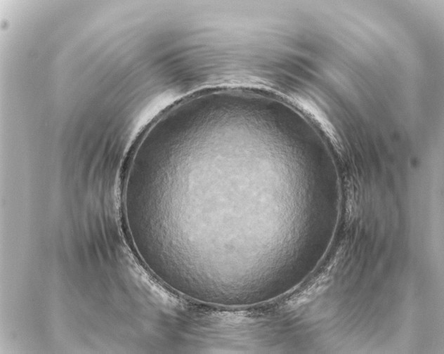 X0000087060990200704251025