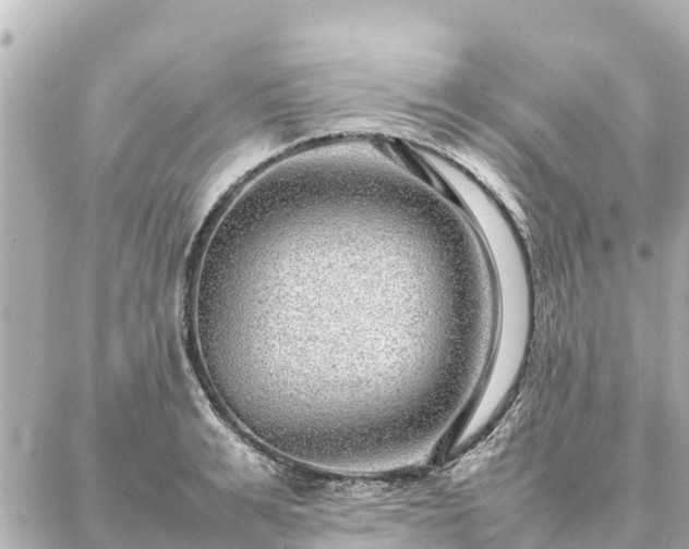 X0000087060991200704251025