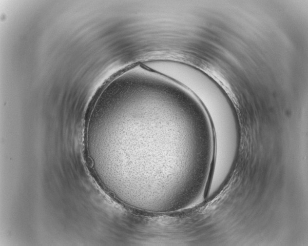 X0000087060992200704251025