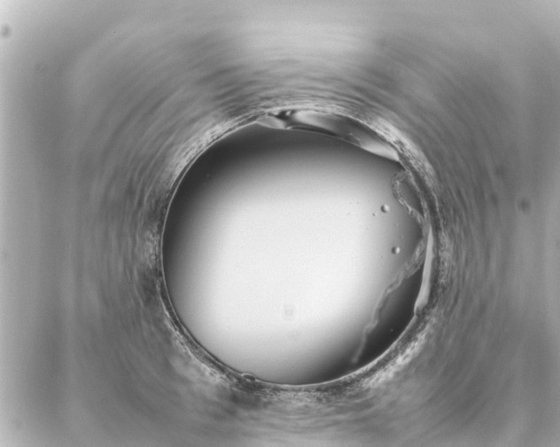 X0000087060993200704251025