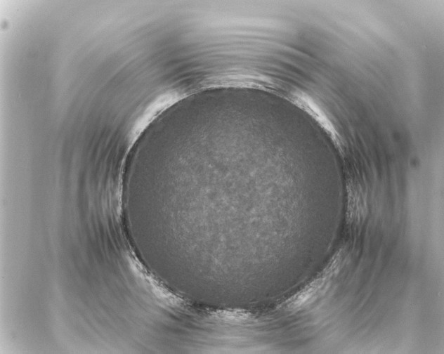 X0000087060994200704251024