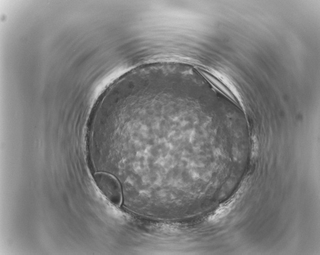 X0000087060995200704251024