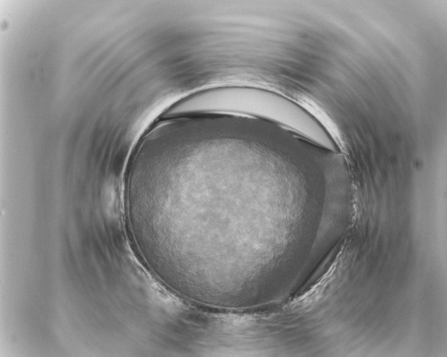 X0000087060996200704251024