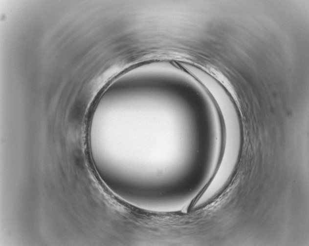 X0000087060997200704251024