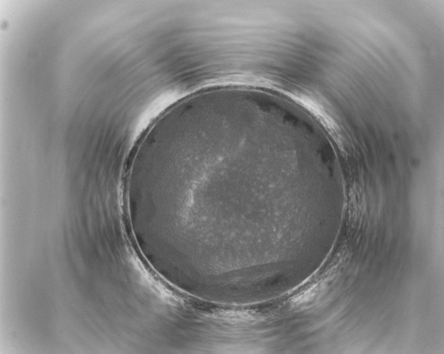 X0000087060998200704251024