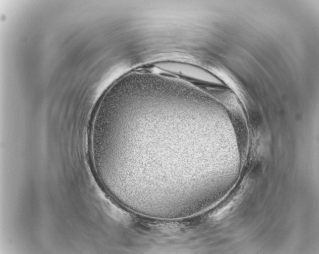 X0000087060999200704251024