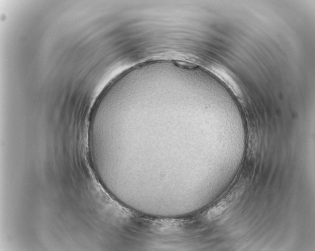 X0000087061000200704251024