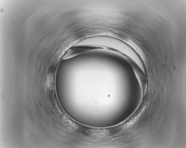 X0000087061001200704251024