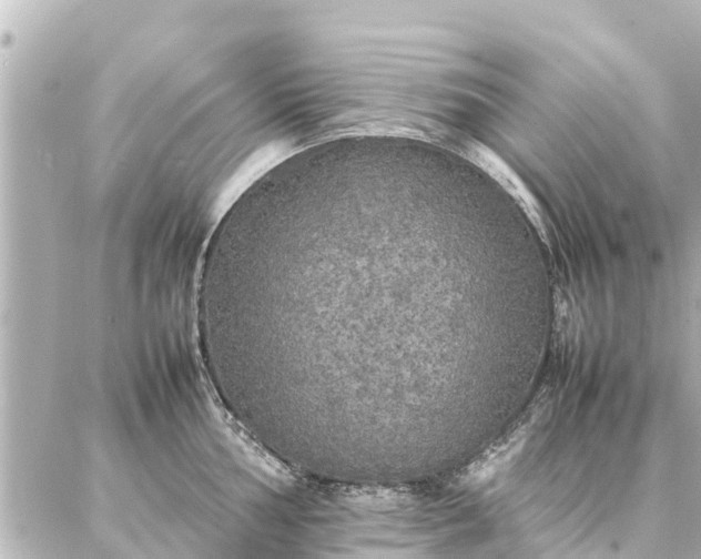 X0000087061002200704251024