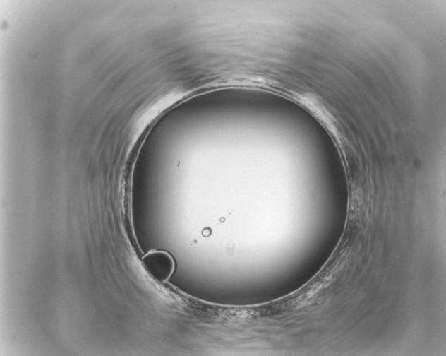 X0000087061003200704251024