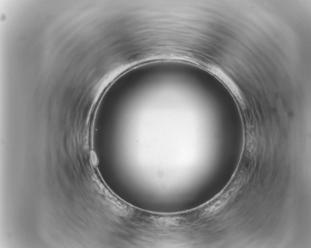 X0000087061004200704251024