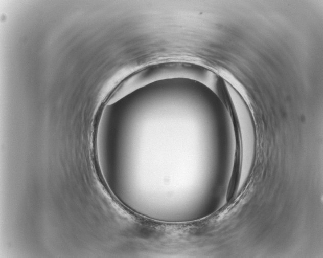 X0000087061005200704251024