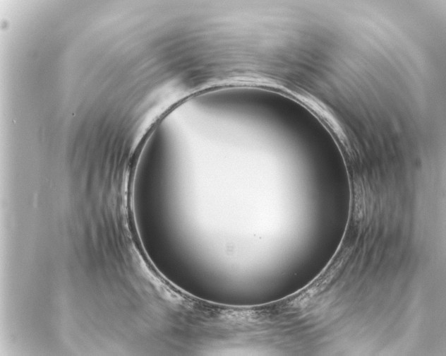 X0000087061006200704251024