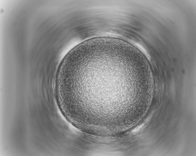 X0000087061007200704251024