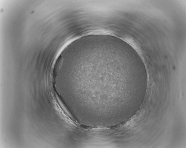 X0000087061008200704251024