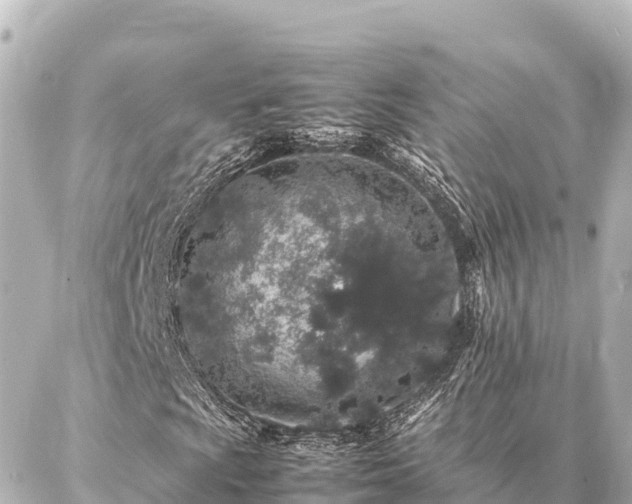 X0000087061009200704251023