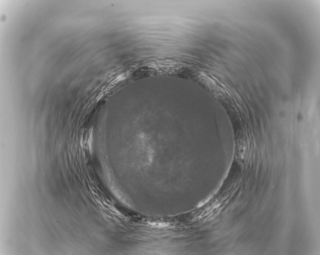 X0000087061010200704251023